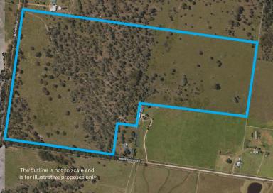 Lifestyle For Sale - QLD - Crows Nest - 4355 - INVESTMENT OPPORTUNITY> 100 acres of land, only 2 mins from  Crows Nest QLD  (Image 2)