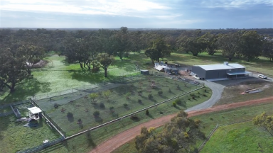 Lifestyle For Sale - WA - Frankland River - 6396 - 100 Acres of Tranquility  Just Over an Hour from Albany  (Image 2)
