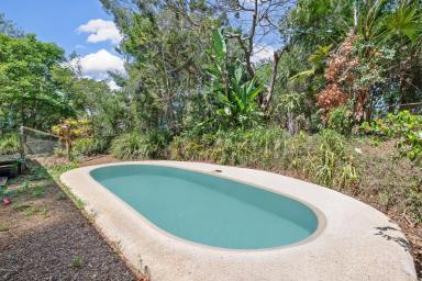 House For Lease - QLD - Cooroy - 4563 - Idyllic Country Living - Minutes from Cooroy and Close to Noosa  (Image 2)