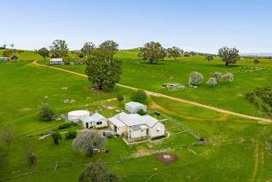 Lifestyle For Sale - NSW - Narrawa - 2583 - Gone Country!  (Image 2)