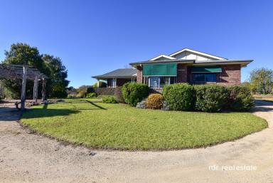 Acreage/Semi-rural For Sale - NSW - Inverell - 2360 - THERE'S NO PLACE LIKE "YAMALA"  (Image 2)