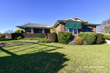 Acreage/Semi-rural For Sale - NSW - Inverell - 2360 - THERE'S NO PLACE LIKE "YAMALA"  (Image 2)