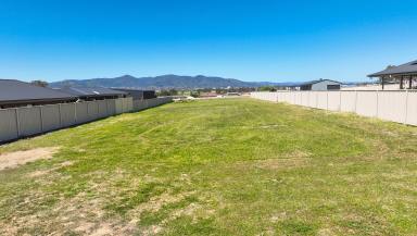 Residential Block For Sale - NSW - Tamworth - 2340 - Large Residential Block  (Image 2)