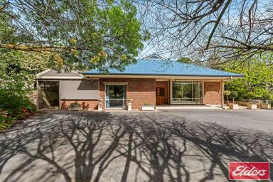 House For Sale - SA - Williamstown - 5351 - One of the Barossa's Finest –Views, Space, Style and Serenity on 5.7 Acres (2.31ha) with Subdivision Potential  (Image 2)