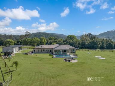 House For Sale - QLD - Dayboro - 4521 - Sophisticated Home with Panoramic Views  (Image 2)