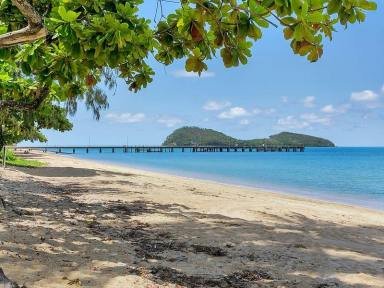 House For Lease - QLD - Palm Cove - 4879 - Palm Cove Residence 5-minute walk to the beach  (Image 2)