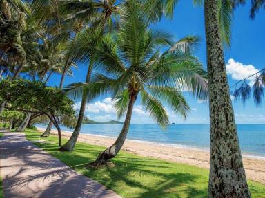 House For Lease - QLD - Palm Cove - 4879 - Palm Cove Residence 5-minute walk to the beach  (Image 2)