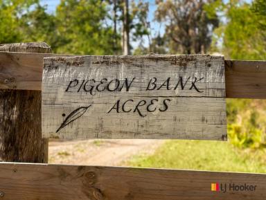 House For Sale - NSW - Mogo - 2536 - "Pigeon Bank Acres" - Your Private Riverfront Retreat with Dual Homes and Income Potential !  (Image 2)