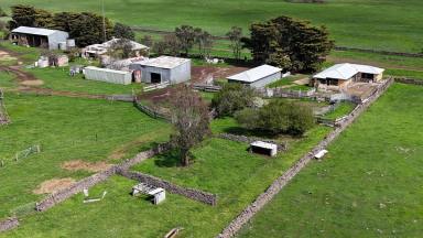 Livestock For Sale - VIC - Pomborneit North - 3260 - Prime Volcanic Holding with Lake Frontage  (Image 2)