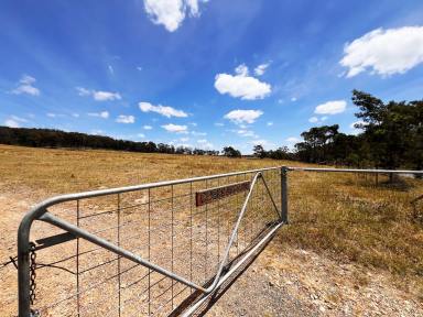 Lifestyle For Sale - NSW - Bannaby - 2580 - Perfect 68 Acres For Weekends, Mix of Cleared and Bushland, Road Frontage +  Dam on 2 Titles.  (Image 2)