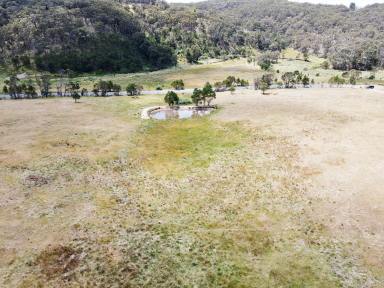 Lifestyle For Sale - NSW - Bannaby - 2580 - Perfect 68 Acres For Weekends, Mix of Cleared and Bushland, Road Frontage +  Dam on 2 Titles.  (Image 2)