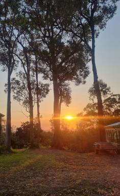 Residential Block For Sale - QLD - Macleay Island - 4184 - 728m2 Treed Block with Potential Water Views & Spectacular Sunsets  (Image 2)