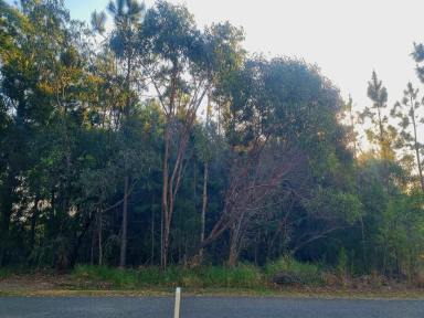 Residential Block For Sale - QLD - Macleay Island - 4184 - 728m2 Treed Block with Potential Water Views & Spectacular Sunsets  (Image 2)