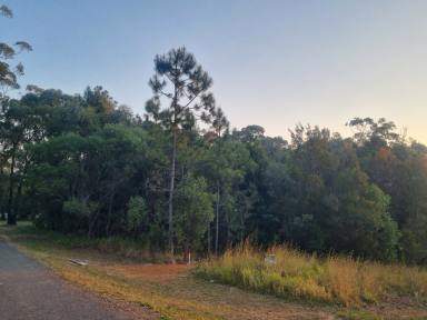 Residential Block For Sale - QLD - Macleay Island - 4184 - 728m2 Large Block with Potential Water Views & Spectacular Sunsets, current soil test available  (Image 2)