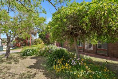 House For Sale - WA - Swan View - 6056 - Attention first time buyers and investors - massive value here!  (Image 2)