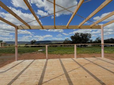 House For Sale - NSW - Young - 2594 - Tiny Home, Big Block, Huge Shed, Massive Appeal!  (Image 2)