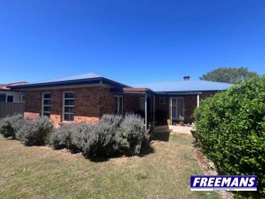 House For Sale - QLD - Kingaroy - 4610 - Private brick home on the hill  (Image 2)