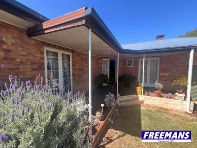 House For Sale - QLD - Kingaroy - 4610 - Private brick home on the hill  (Image 2)