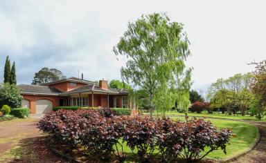 Lifestyle For Sale - VIC - Strathkellar - 3301 - MODERN COMFORT - COUNTRY CHARM  (Image 2)
