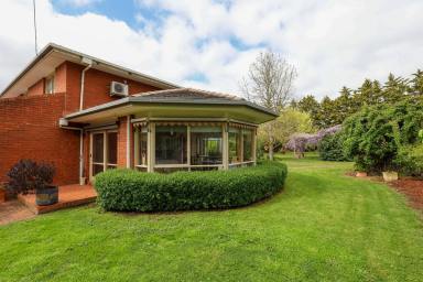 Lifestyle For Sale - VIC - Strathkellar - 3301 - MODERN COMFORT - COUNTRY CHARM  (Image 2)
