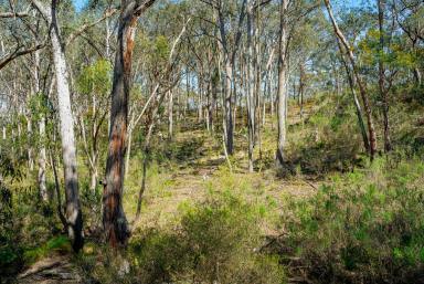 Lifestyle Auction - NSW - Gundary - 2580 - Your weekend escape!  (Image 2)