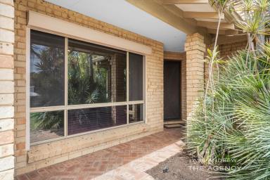 House For Sale - WA - Booragoon - 6154 - BIG HOME BIG OPPORTUNITY  (Image 2)