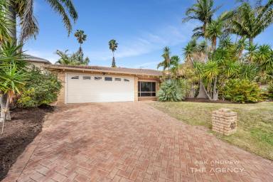 House For Sale - WA - Booragoon - 6154 - BIG HOME BIG OPPORTUNITY  (Image 2)