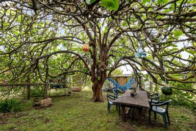 Acreage/Semi-rural For Sale - WA - Margaret River - 6285 - Quintessential Margaret River property steeped in history  (Image 2)