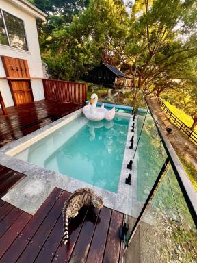 Acreage/Semi-rural Sold - NSW - Bilambil - 2486 - MAGNIFICENT VIEWS, WOW LOCATION + TINY HOME + WATERHOLE  (Image 2)