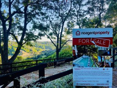 Acreage/Semi-rural For Sale - NSW - Bilambil - 2486 - MAGNIFICENT VIEWS, WOW LOCATION + TINY HOME + WATERHOLE (Image 2)