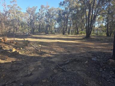 Residential Block For Sale - WA - Parkerville - 6081 - Parkerville Bushland Retreat 5.5 Acres Backing onto National Park  (Image 2)