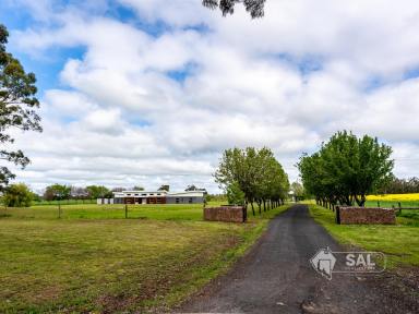 House For Sale - SA - Bordertown - 5268 - Luxury Lifestyle Property Like No Other  (Image 2)