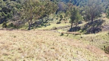 Other (Rural) For Sale - NSW - Limbri - 2352 - SCALE LIFESTYLE & INCOME  (Image 2)