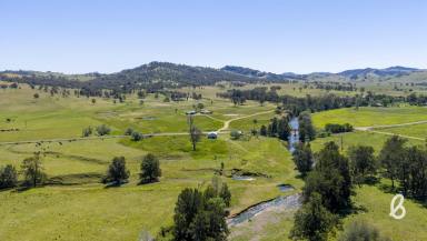 Other (Rural) For Sale - NSW - Singleton - 2330 - Roselands – 106.7 Acre Creekfront Retreat  (Image 2)