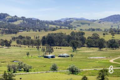 Other (Rural) Sold - NSW - Singleton - 2330 - Roselands – 106.7 Acre Creekfront Retreat  (Image 2)
