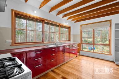 House For Sale - TAS - Patersonia - 7259 - A Hidden Timber Haven Among the Trees  (Image 2)
