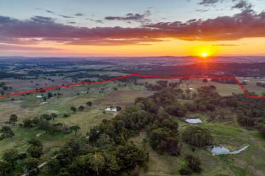 Other (Rural) For Sale - NSW - Goulburn - 2580 - Falconwood at Goulburn
'Exceptionally rare rural lifestyle development opportunity '  (Image 2)