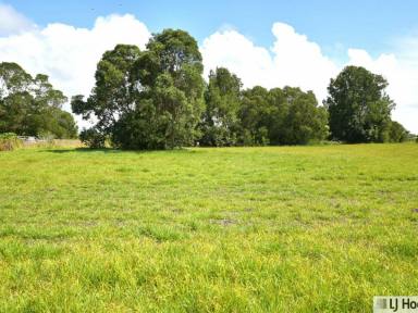 Residential Block For Sale - QLD - Tully Heads - 4854 - Endless Potential – 8430m² (Approx) Flat Block in Peaceful Tully Heads  (Image 2)