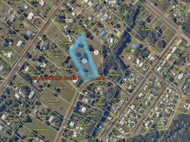 Residential Block For Sale - QLD - Tully Heads - 4854 - Endless Potential – 8430m² (Approx) Flat Block in Peaceful Tully Heads  (Image 2)