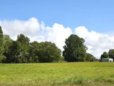 Residential Block For Sale - QLD - Tully Heads - 4854 - Rare Opportunity – Approx 2Acre Flat Block on Paradise Palm Drive, Tully Heads  (Image 2)