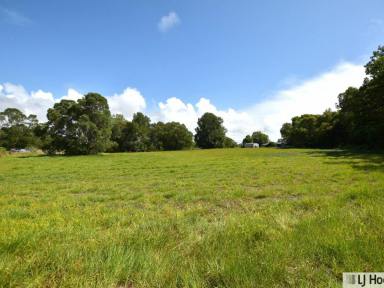 Residential Block For Sale - QLD - Tully Heads - 4854 - Rare Opportunity – Approx 2Acre Flat Block on Paradise Palm Drive, Tully Heads  (Image 2)