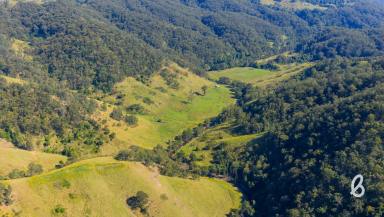Other (Rural) For Sale - NSW - Singleton - 2330 - REMARKABLE HUNTER VALLEY BUSH RETREAT – 364.7 Ha (900 Acres)
"Fosters" off Cassels Road, Mount Royal via Singleton  (Image 2)