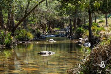 Other (Rural) Sold - NSW - Singleton - 2330 - REMARKABLE HUNTER VALLEY BUSH RETREAT – 364.7 Ha (900 Acres)
"Fosters" off Cassels Road, Mount Royal via Singleton  (Image 2)