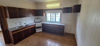 House For Sale - QLD - Ingham - 4850 - 3 BEDROOM HIGHSET HOME IN TOWN!  (Image 2)