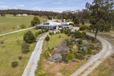 Lifestyle Auction - NSW - Temora - 2666 - 20*ac - 3km from Temora - Sheds, House & Space - The Trifecta!  (Image 2)