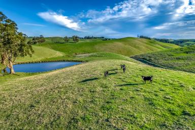 Mixed Farming For Sale - VIC - Mountain View - 3988 - IDEAL LIFESTYLE / GRAZING FARM  (Image 2)