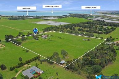 Acreage/Semi-rural For Sale - VIC - Metung - 3904 - The Complete Lifestyle Package Close To Gippsland Lakes  (Image 2)