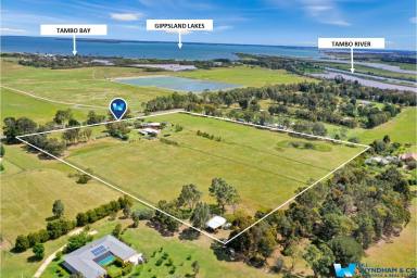 Acreage/Semi-rural For Sale - VIC - Metung - 3904 - The Complete Lifestyle Package Close To Gippsland Lakes  (Image 2)