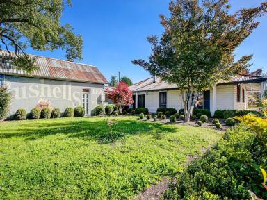 House For Sale - NSW - Moss Vale - 2577 - 561-565 Open Sat 22nd  -  567 By Appointment  (Image 2)