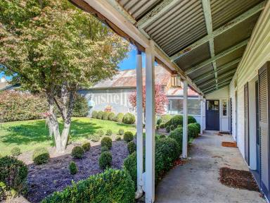 House For Sale - NSW - Moss Vale - 2577 - Prominent Location Commercial Shopfront & Adjoining Residence  (Image 2)